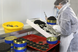 Caviar Perlita - Production